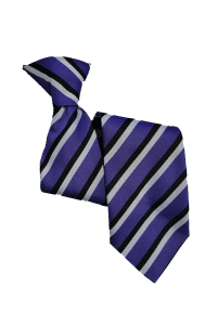 School ties1