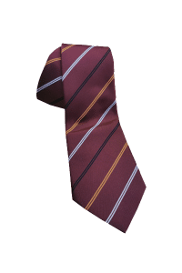 School ties10