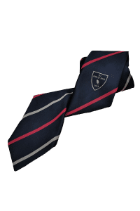 School ties1