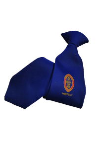 School ties13