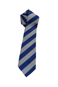 School ties4