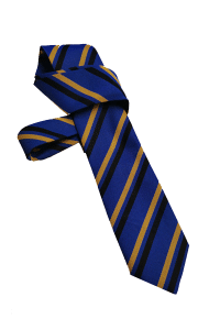 School ties5