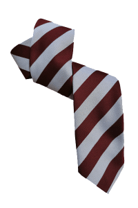 School ties6