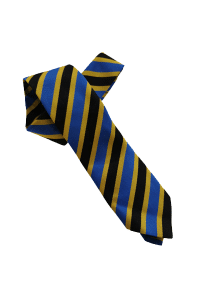School ties7