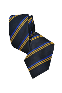 School ties9