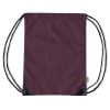 Anti-bacterial Gym Bags