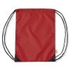 Anti-bacterial Gym Bags